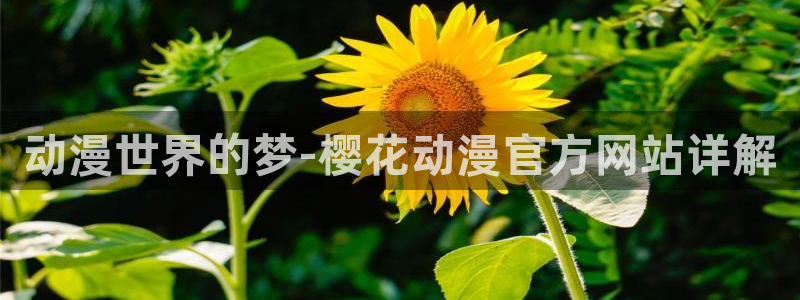 omofun动漫软件下载