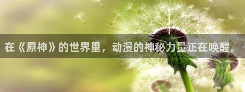 omofun免费看动漫