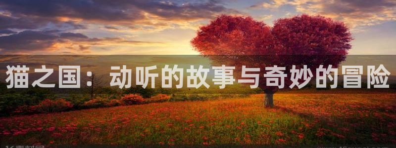 omofun网页版怎么没了