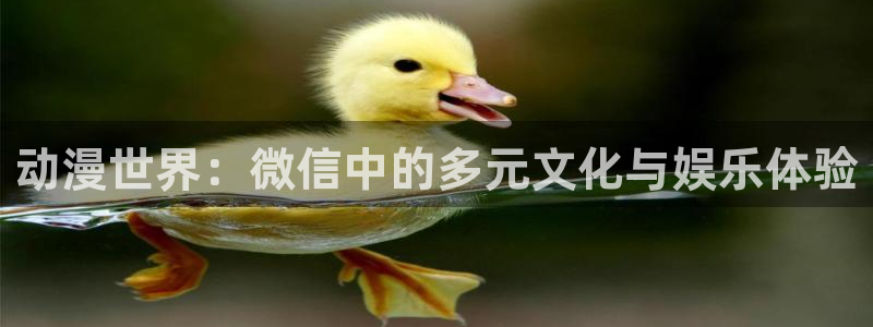 omofun/