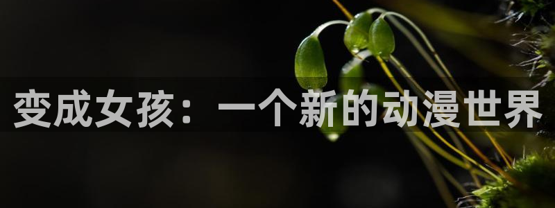 omofun动漫网页