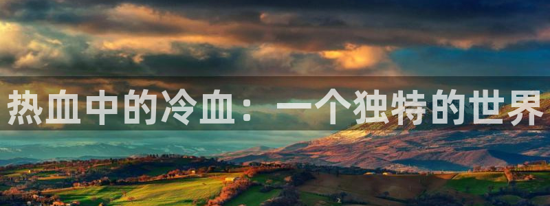 omofun老版本