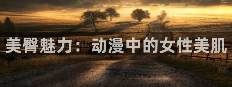 omofun缓存