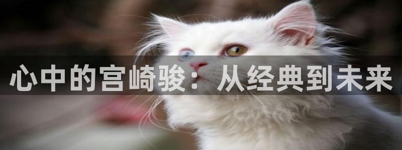 omofun官网在线
