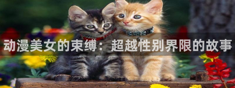 omofun纯净无广告版