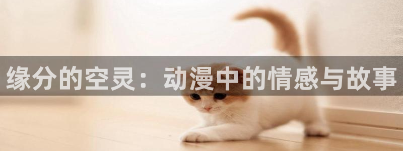omofun最新