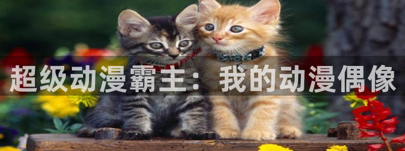 omofun怎么下载：超级动漫霸主：我的动漫偶像
