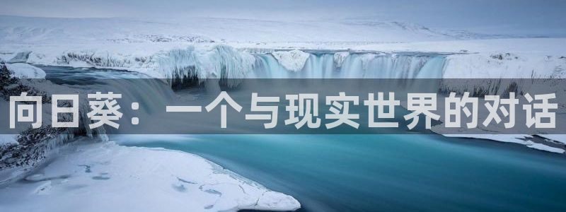 omofun官网网站：向日葵：一个与现实世界的对话