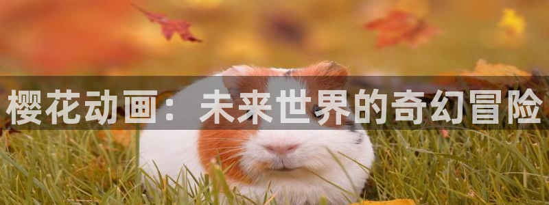 omofun动漫官方正版入口：樱花动画：未来世界的奇幻冒险