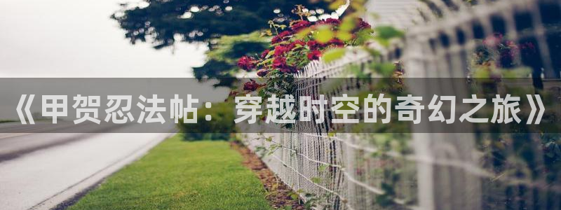 omofun网页版怎么没了