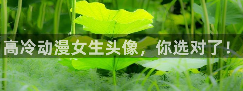 omofun官方正版