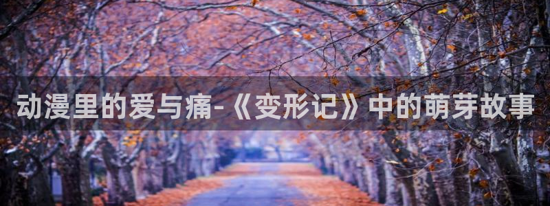 omofun 比较好用