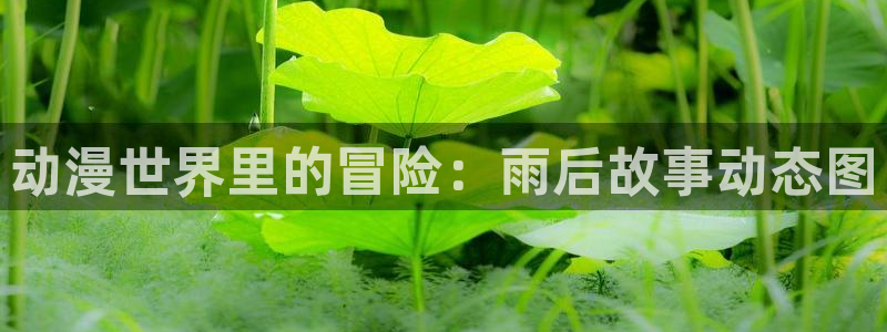omofun正版下载ios