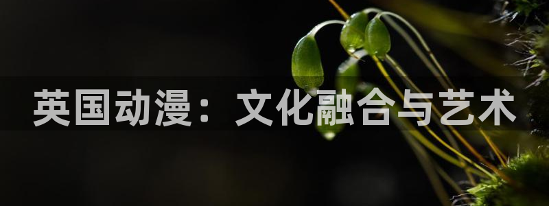 omofun是什么