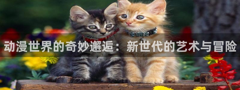 omofun官网正版