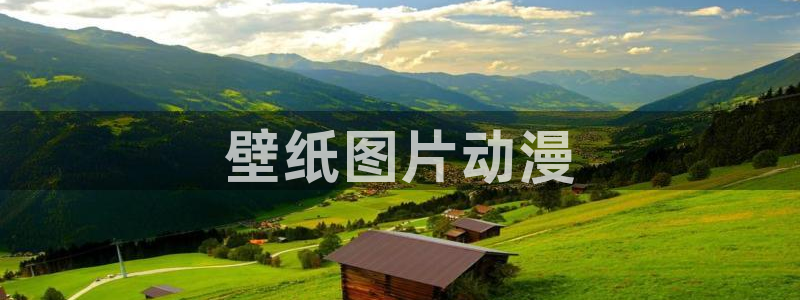 omofun官网网址