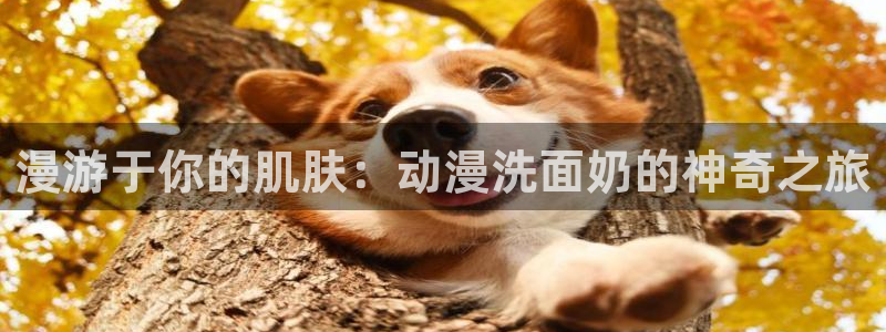 omofun链接：漫游于你的肌肤：动漫洗面奶的神奇之旅
