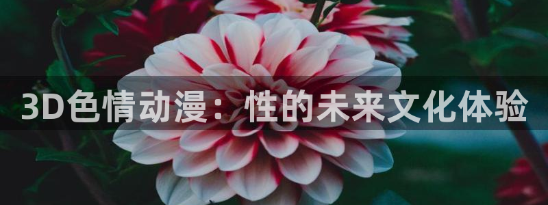 omofun专注动漫官网入口