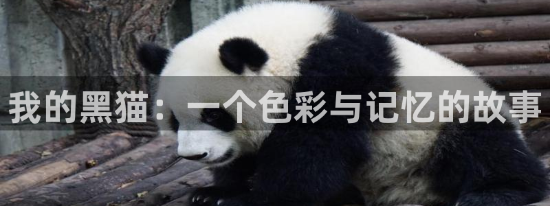 omofun复活版