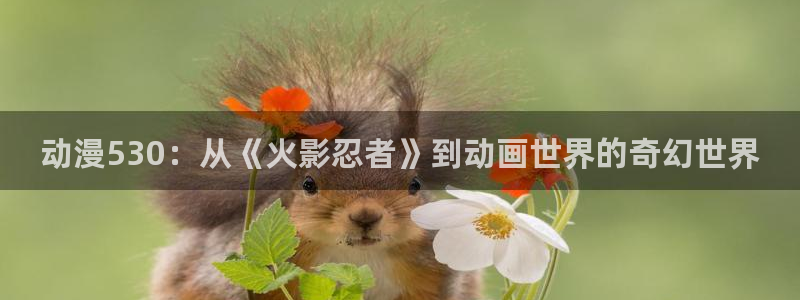 omofun官网入口链接