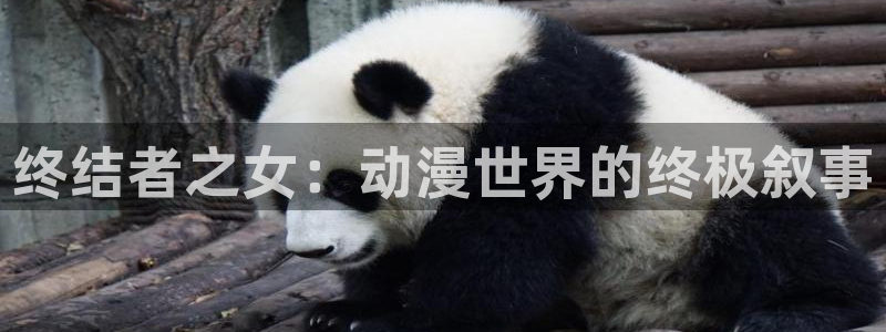 omofun官方网页