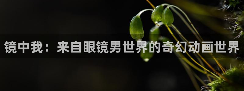 omofun(动漫共和国)