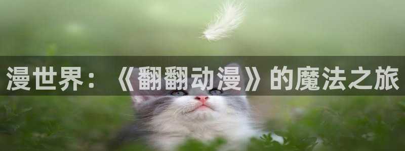 omofun专注动漫的网站