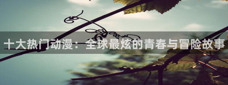 omofun 比较好用