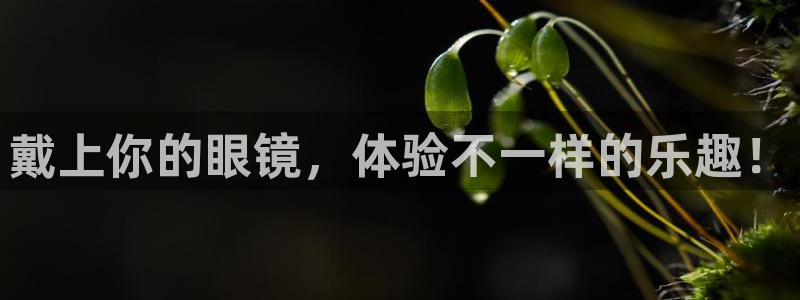 omofun一个