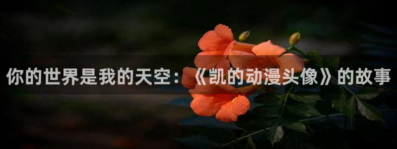 omofun下载动漫