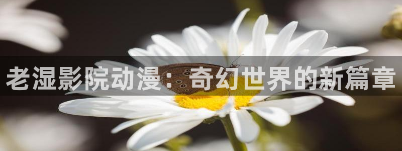 omofun最新下载
